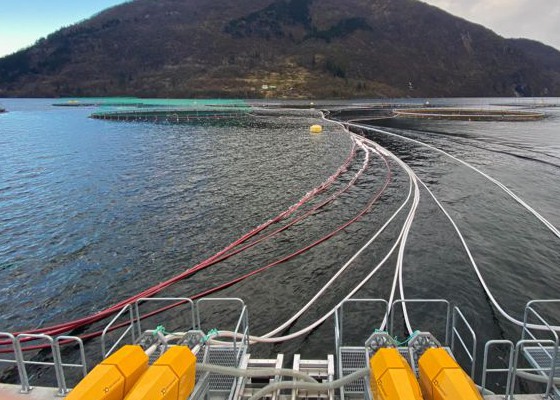 Indsamling af fiskeafføring