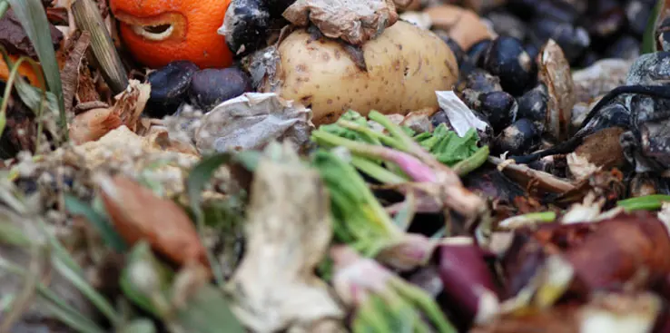 Madaffald affaldsfraktion Blandet madaffald