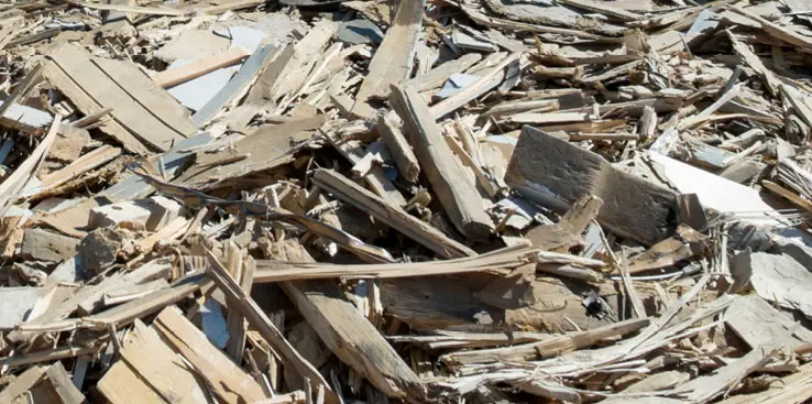 Rent træ fraktion Bunke af rent træ