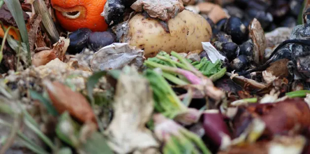 Madaffald Blandede fødevarer