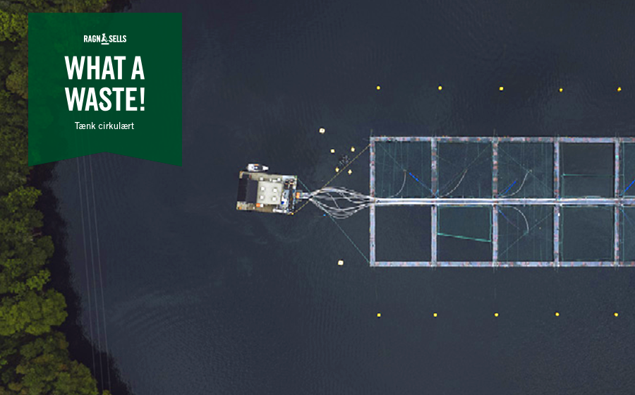 Indsamling af fiskeafføring